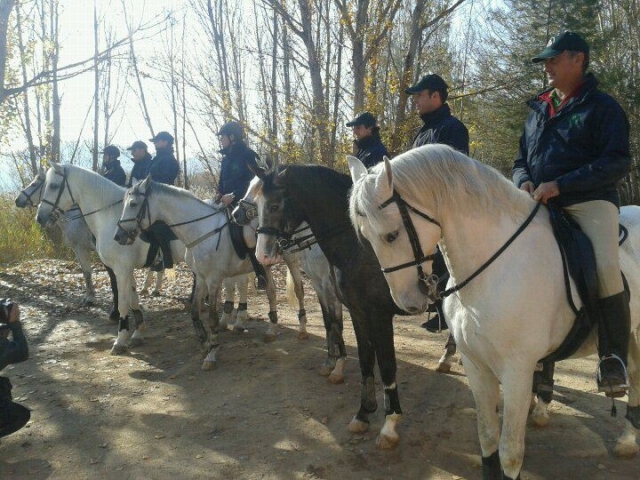  Itinerario a cavallo guidato 